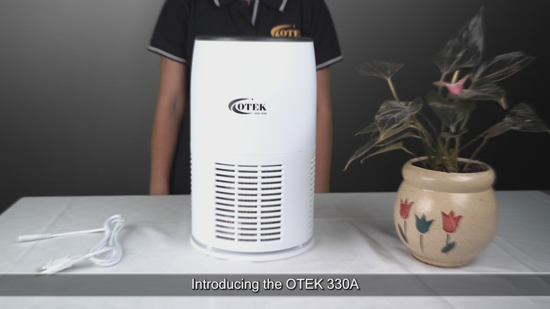 Load video: OTEKWORLD air purifier placed in a modern living room, filtering dust, pollen, and allergens